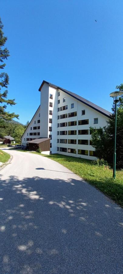 Apartment Kleine Auszeit Bad Mitterndorf Exterior photo